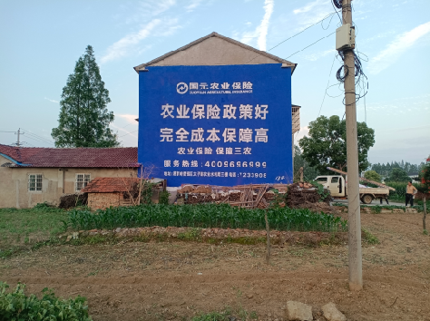 郧西墙体广告的优劣势你知道吗？